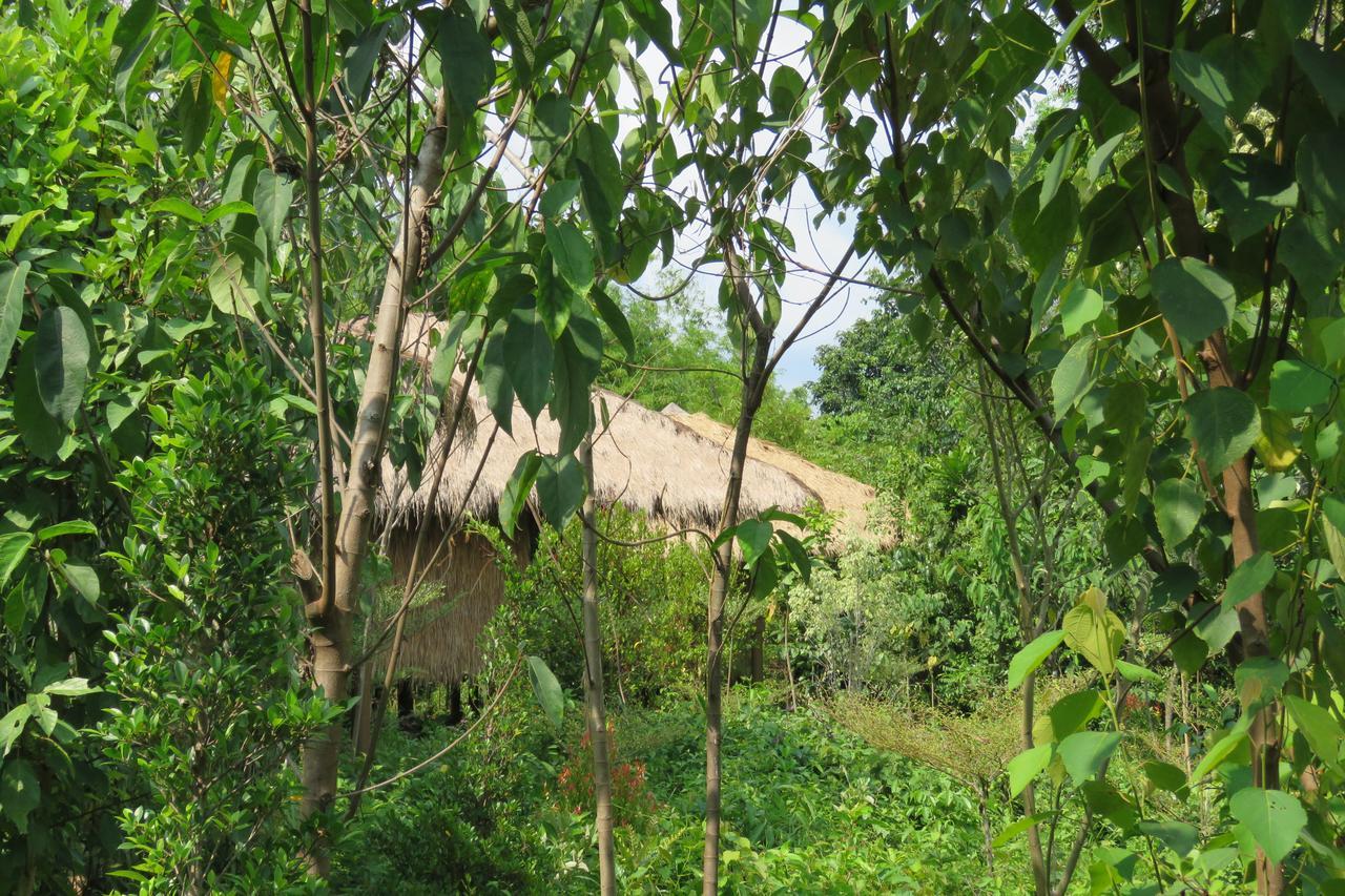 Rainbow Lodge Tatai Екстериор снимка